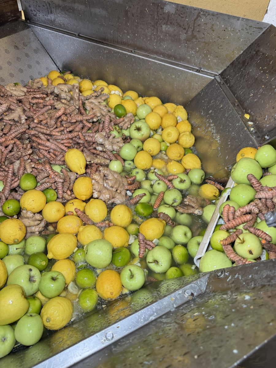 Fresh lemons, limes, apples and turmeric in the press hopper