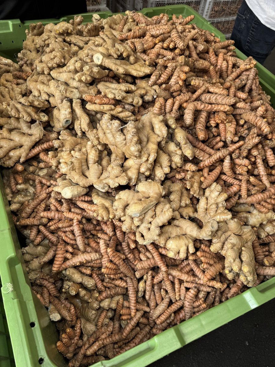 Crates of fresh ginger and turmeric roots