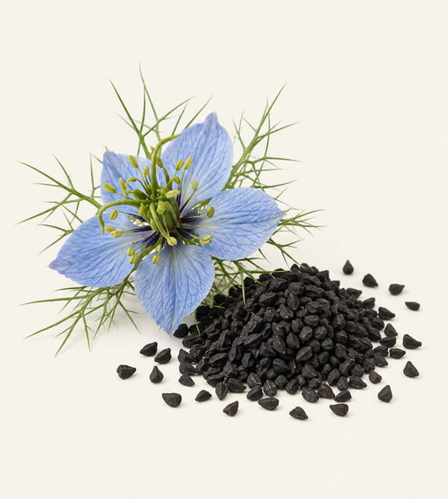 🪻 Black cumin