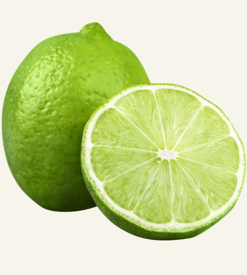 🍋‍🟩 Lime